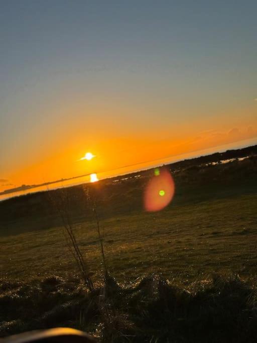 Barassie, *